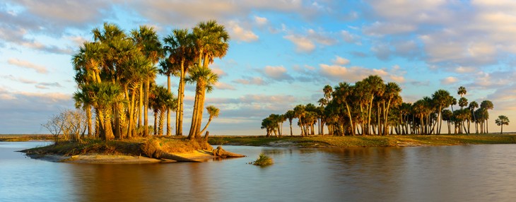 Island of Palms