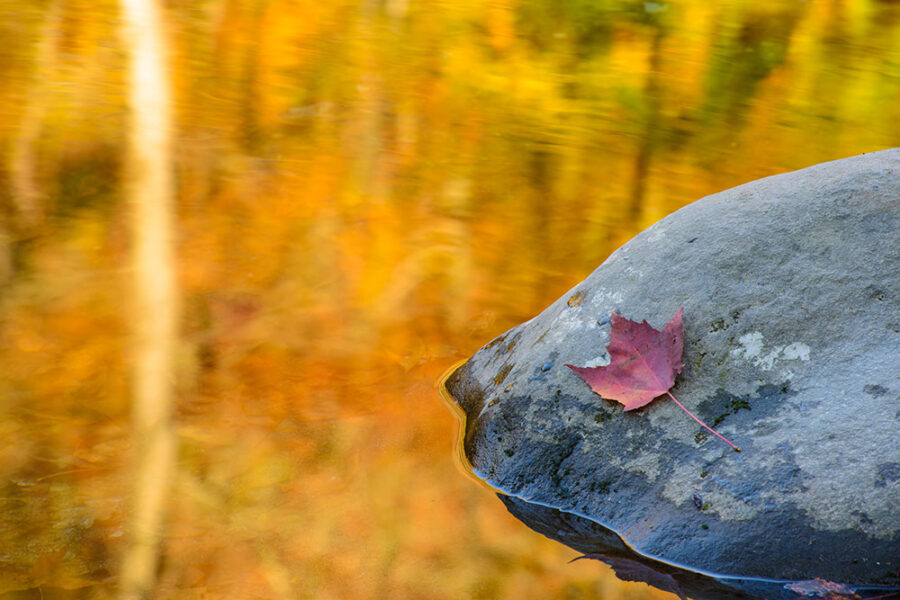 Fall Reflections1