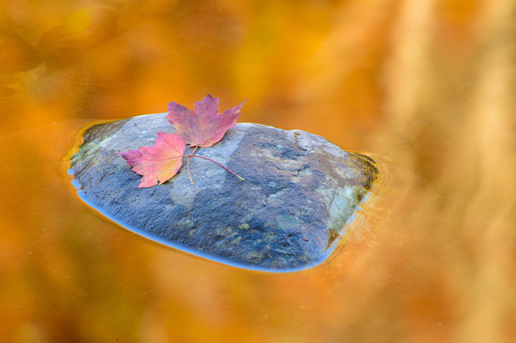 Fall Reflections 1