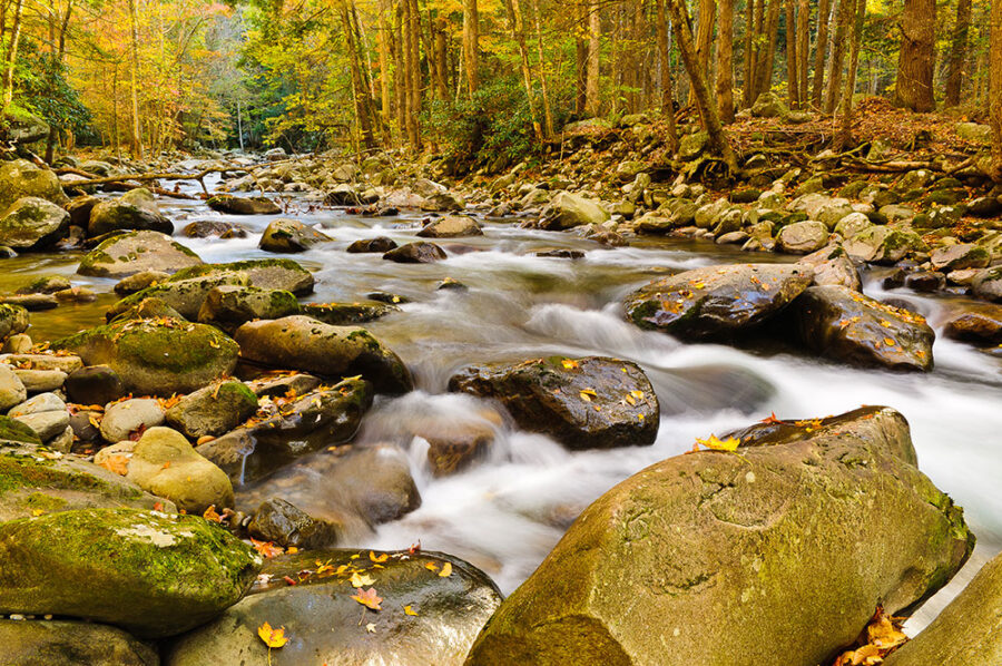 Little Pigeon River