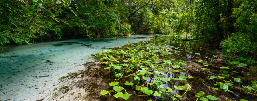 Rock Springs Run