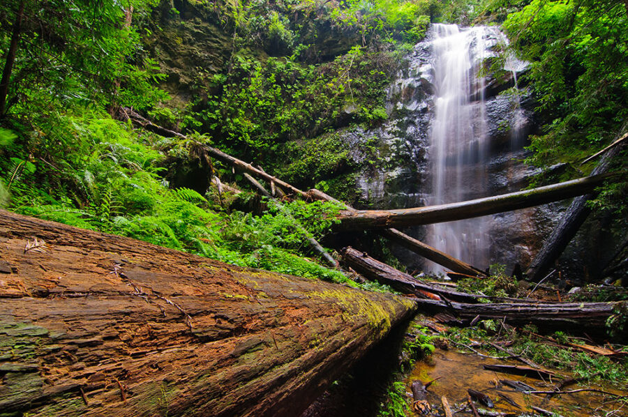 Silver Cascade