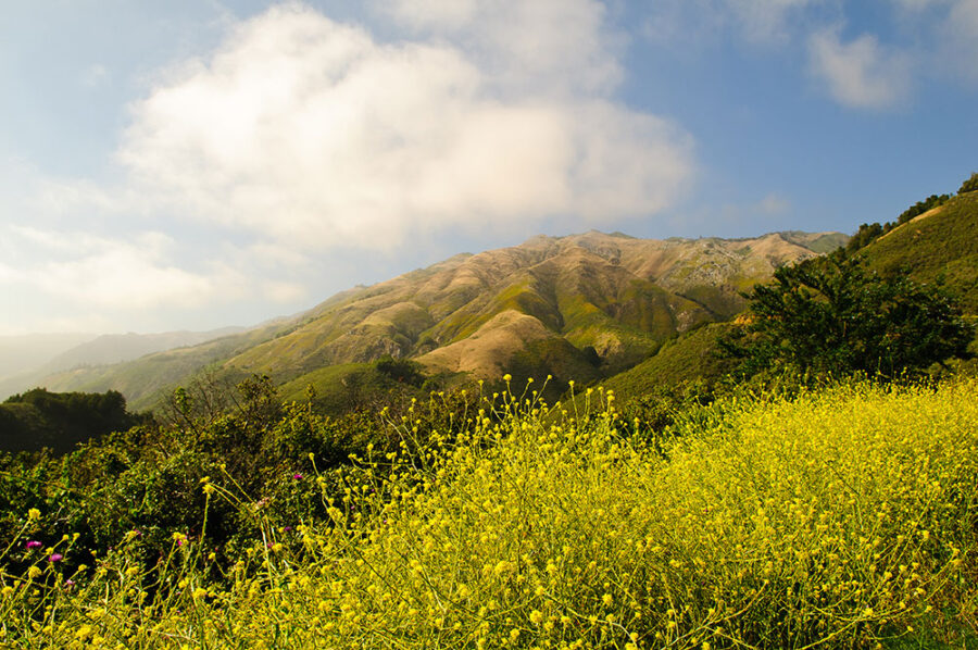 Big Sur