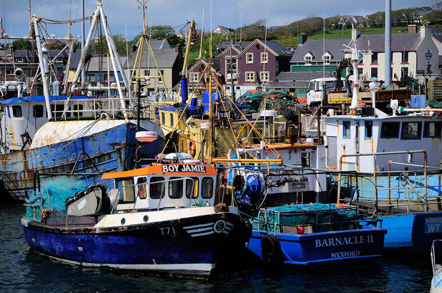 Dingle Harbor