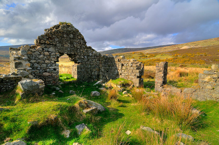 Wicklow Ruins