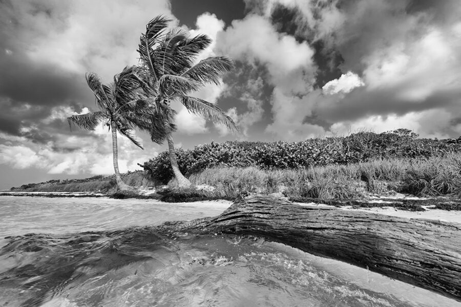 Bahia Honda