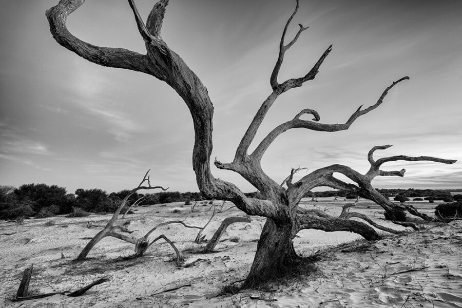 Ghosts of Cumberland