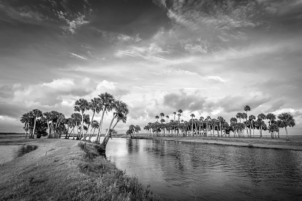 Uneasy Southwest Florida Beach-Black & White Fine Art Landscape Photography Wall Art Print Title