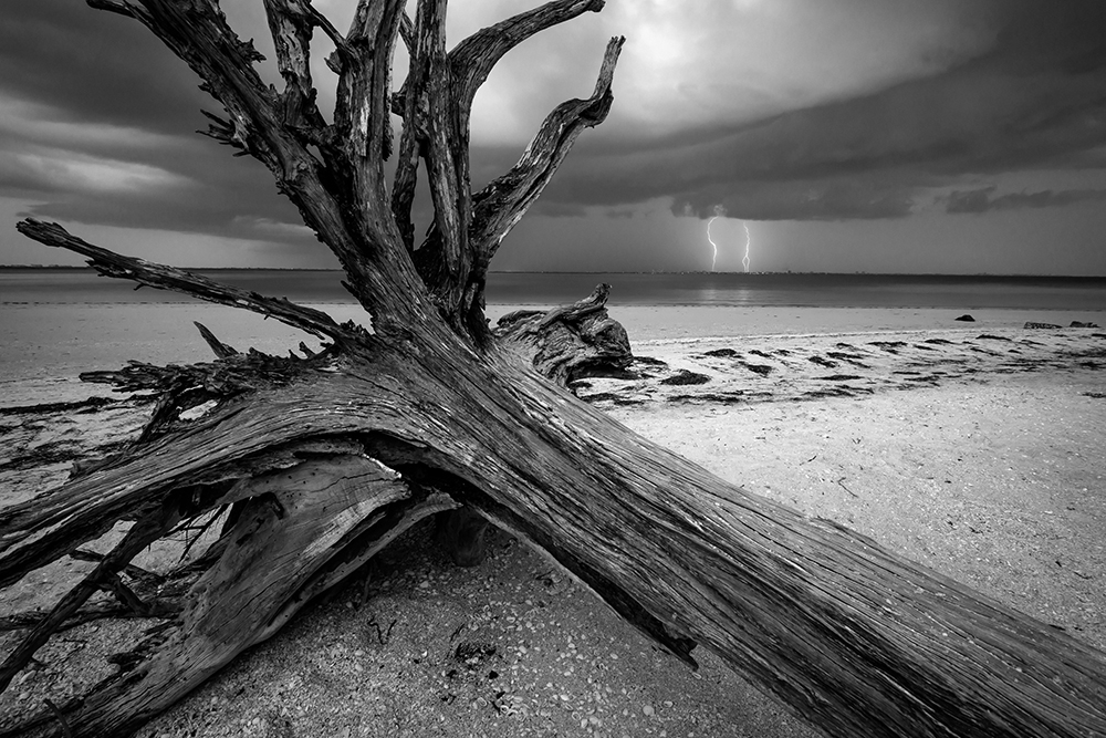 sanibel-DSC_1294-web.jpg