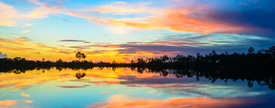 Everglades Dream