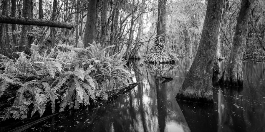 The Dora Canal