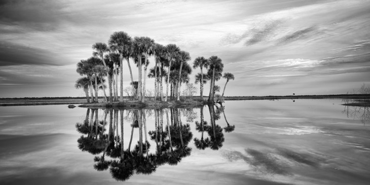 Old Florida Reflections