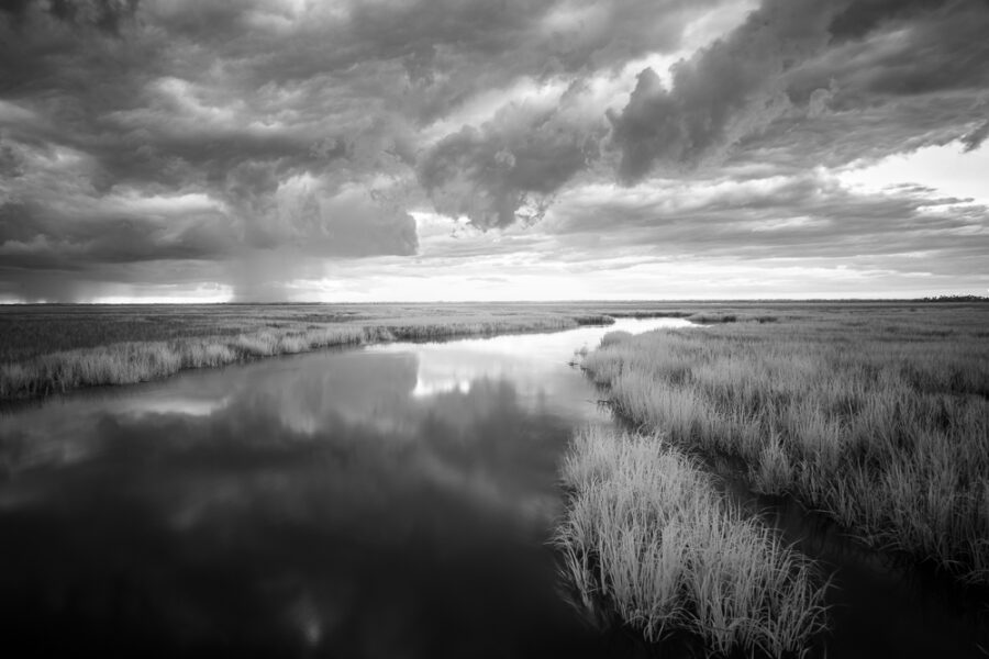 Storm Over the Marsh