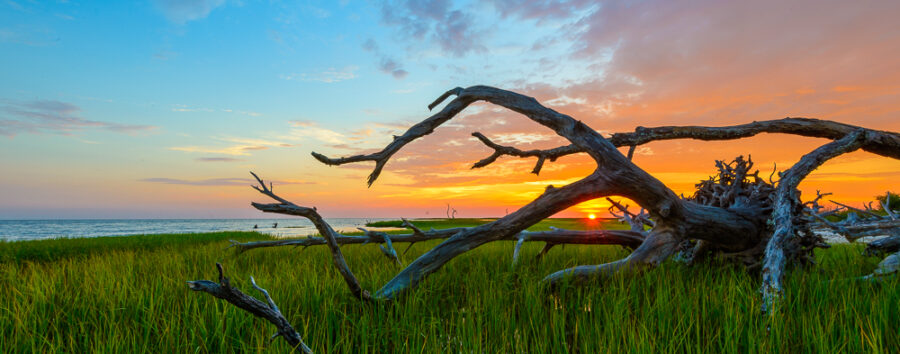 Sunset on the Boneyard