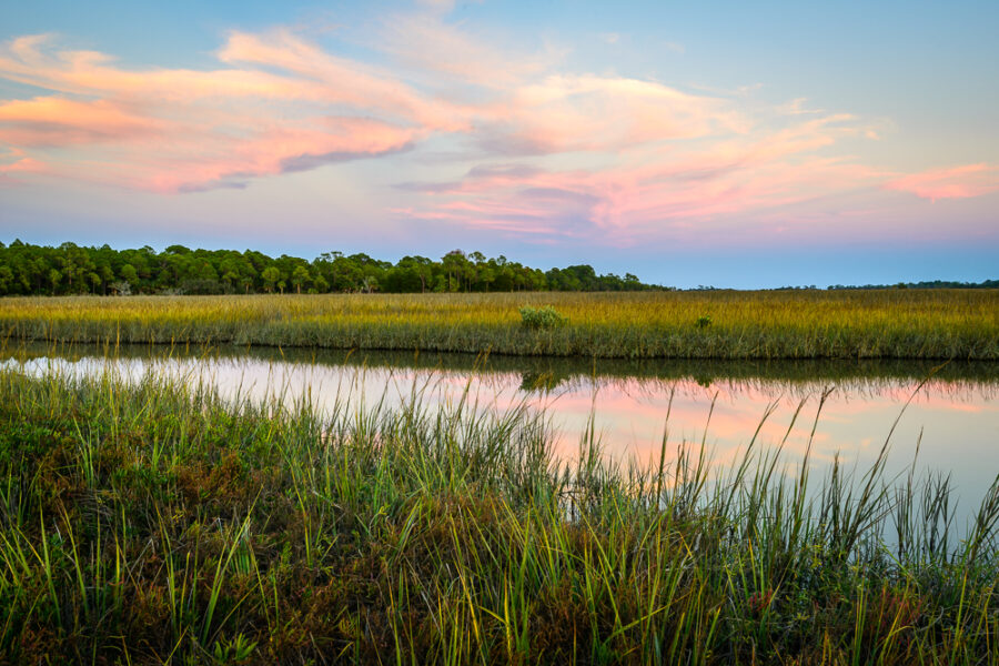 Cedar Key Salt Marsh