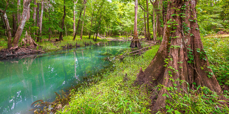 Blue Hole Spring Run